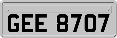 GEE8707