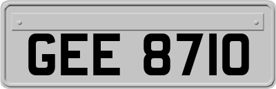 GEE8710