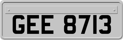 GEE8713