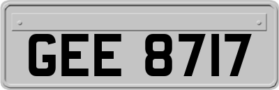 GEE8717