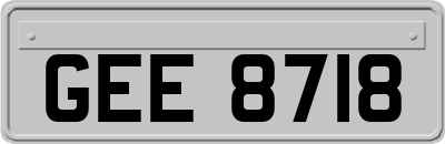 GEE8718
