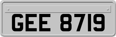 GEE8719