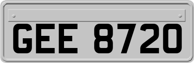GEE8720