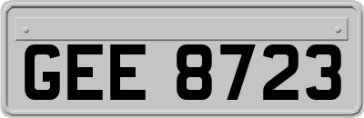 GEE8723