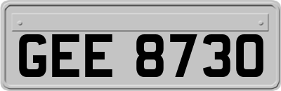 GEE8730