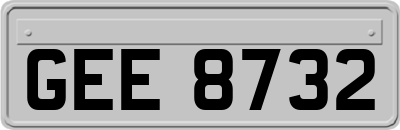 GEE8732