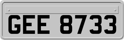 GEE8733