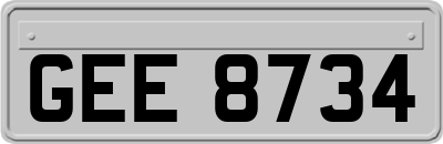 GEE8734