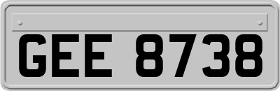 GEE8738