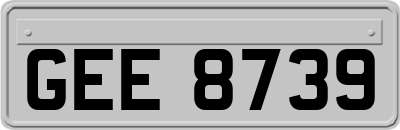 GEE8739