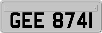 GEE8741