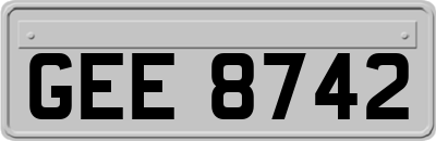 GEE8742