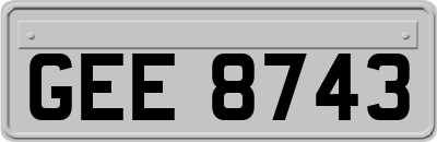 GEE8743