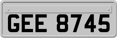 GEE8745