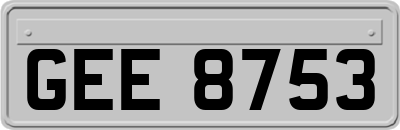 GEE8753