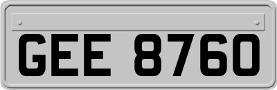 GEE8760