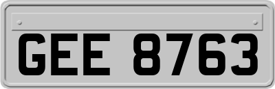 GEE8763