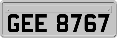 GEE8767