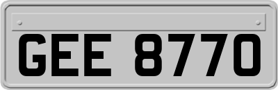 GEE8770