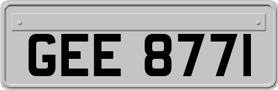 GEE8771