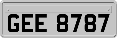 GEE8787