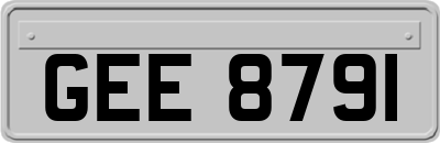 GEE8791