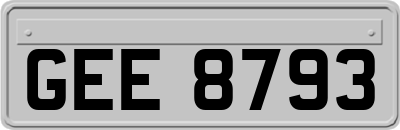 GEE8793