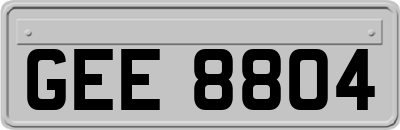 GEE8804