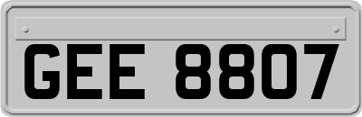 GEE8807
