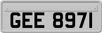 GEE8971