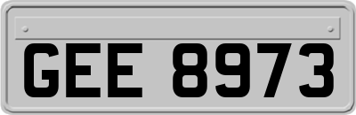 GEE8973