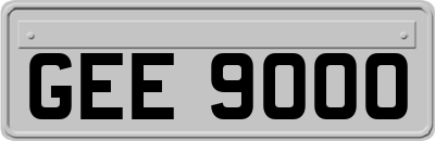 GEE9000