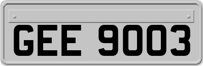 GEE9003