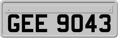 GEE9043