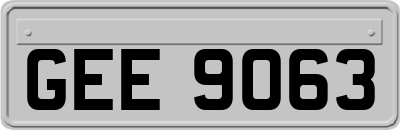 GEE9063