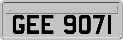GEE9071