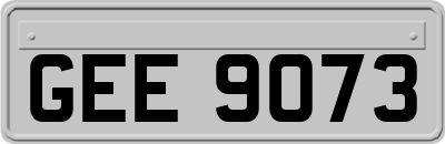 GEE9073