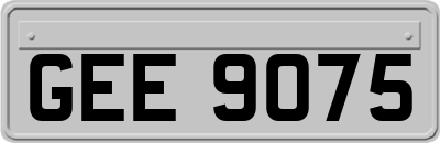 GEE9075