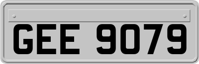 GEE9079
