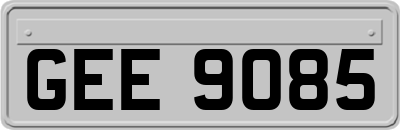 GEE9085