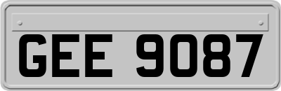 GEE9087
