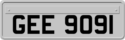 GEE9091