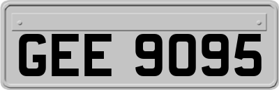 GEE9095