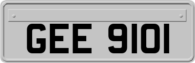 GEE9101