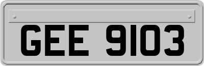 GEE9103