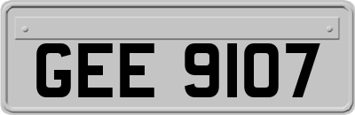 GEE9107