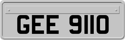 GEE9110