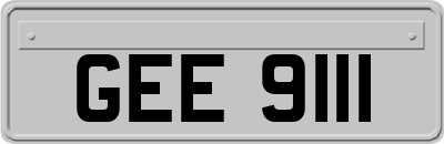 GEE9111