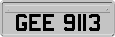 GEE9113