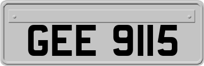 GEE9115